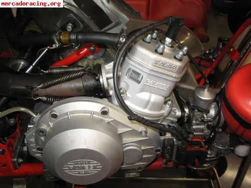 Vendo kart maranello competicion kz2 6 marchas.buen precio!!