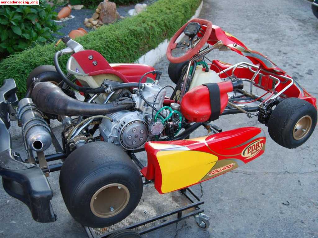 Se vende o cambia por coche  kart 125 marchas guillar-pdb