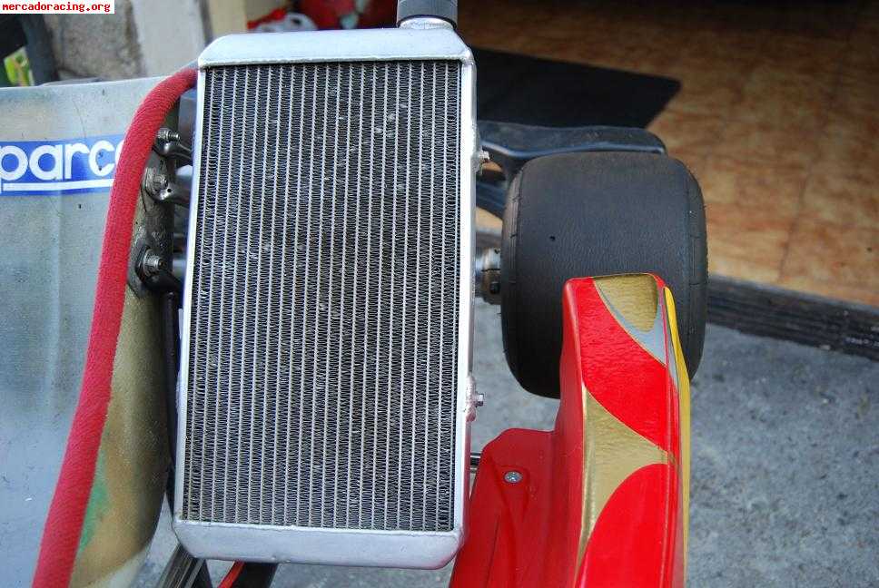 Se vende o cambia por coche  kart 125 marchas guillar-pdb