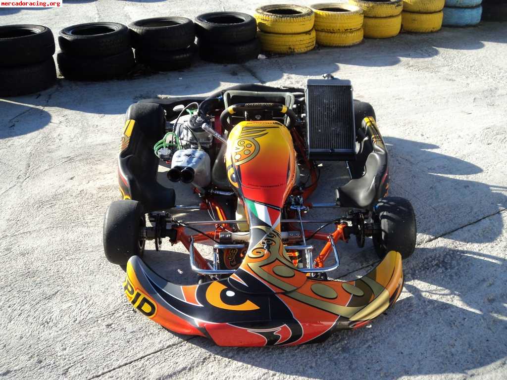 Se vende intrepid kz2 maxter