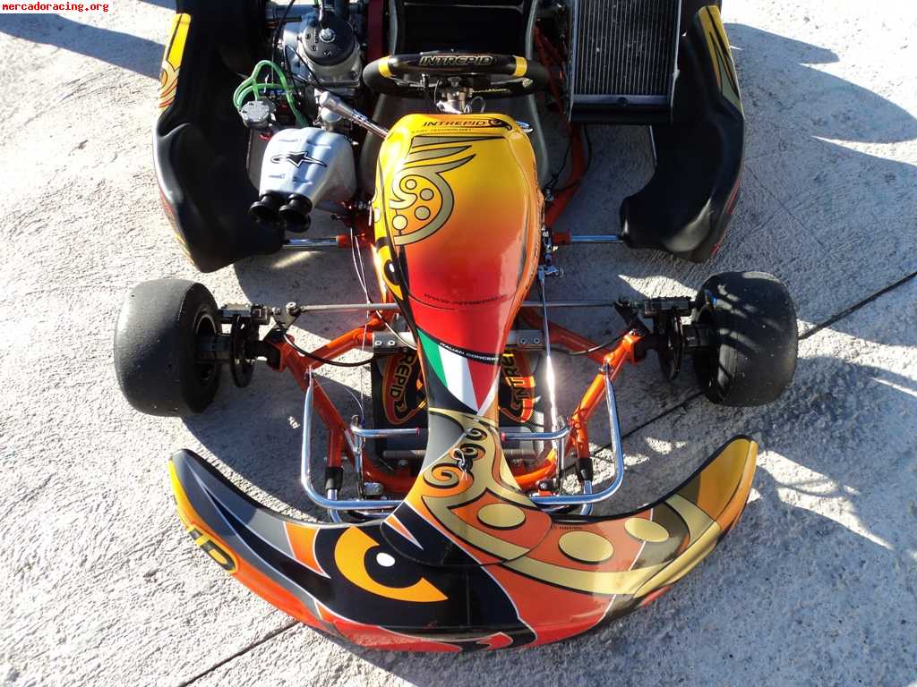 Se vende intrepid kz2 maxter