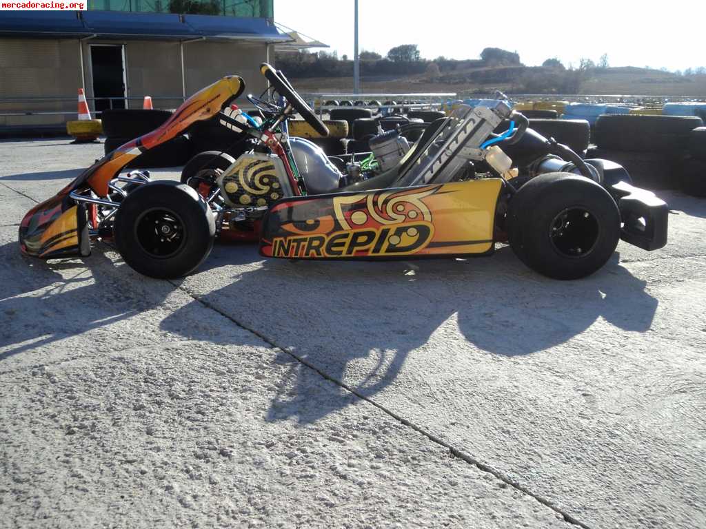 Se vende intrepid kz2 maxter