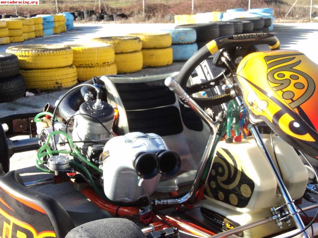 Se vende intrepid kz2 maxter