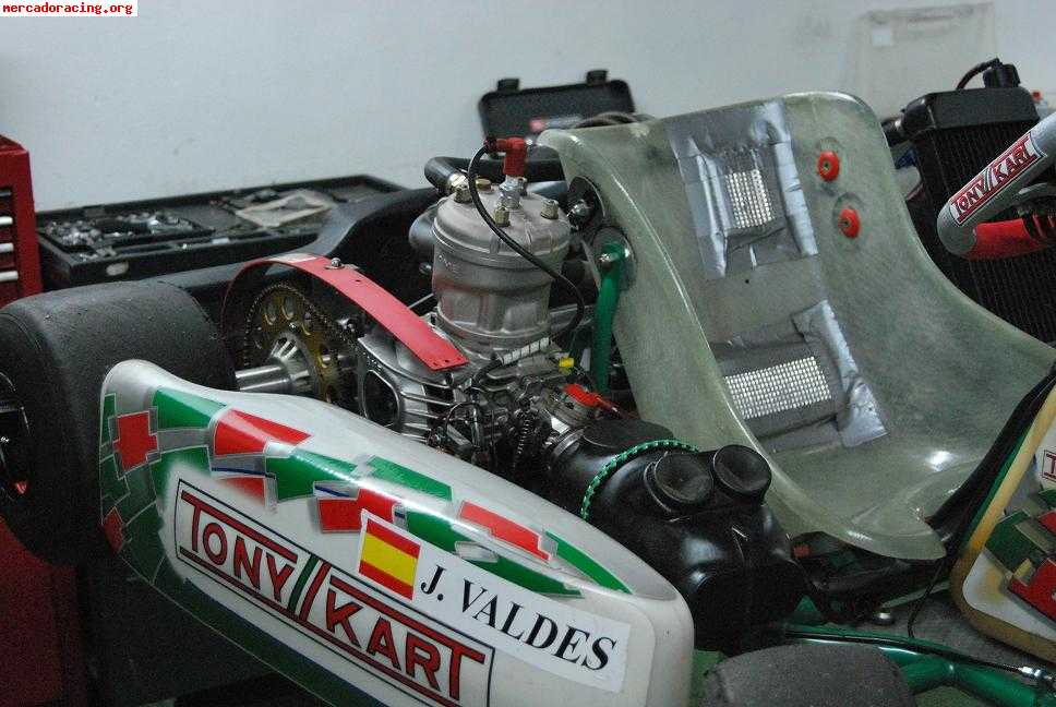 Se vende tony kart racer evs 125