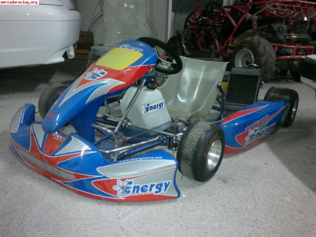 Se vende kart nuevo año 2009 se admiten cambios