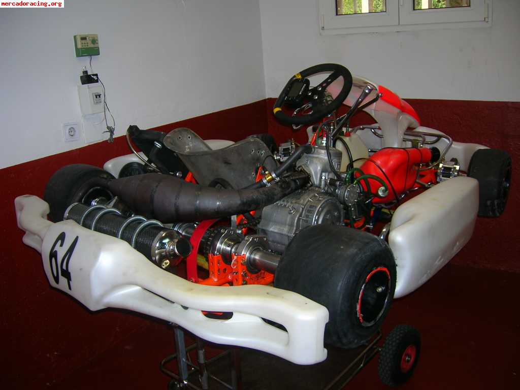 Kart 125 cc intrepid perfecto estado