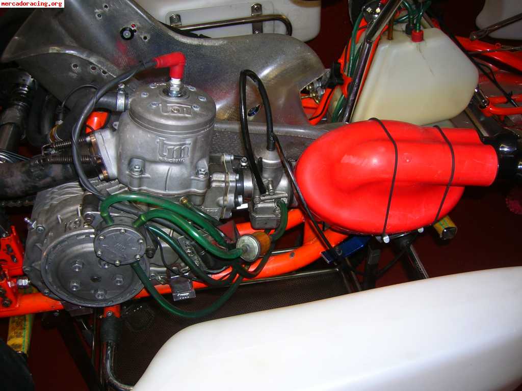 Kart 125 cc intrepid perfecto estado