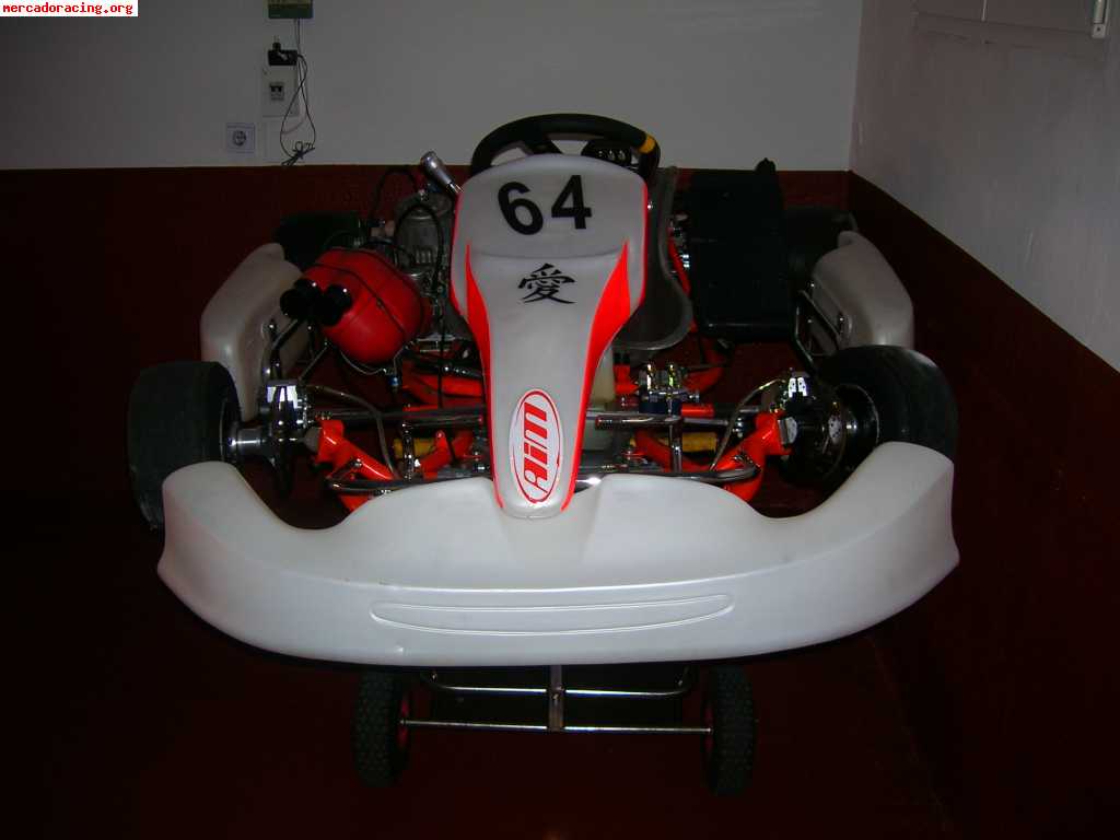 Kart 125 cc intrepid perfecto estado