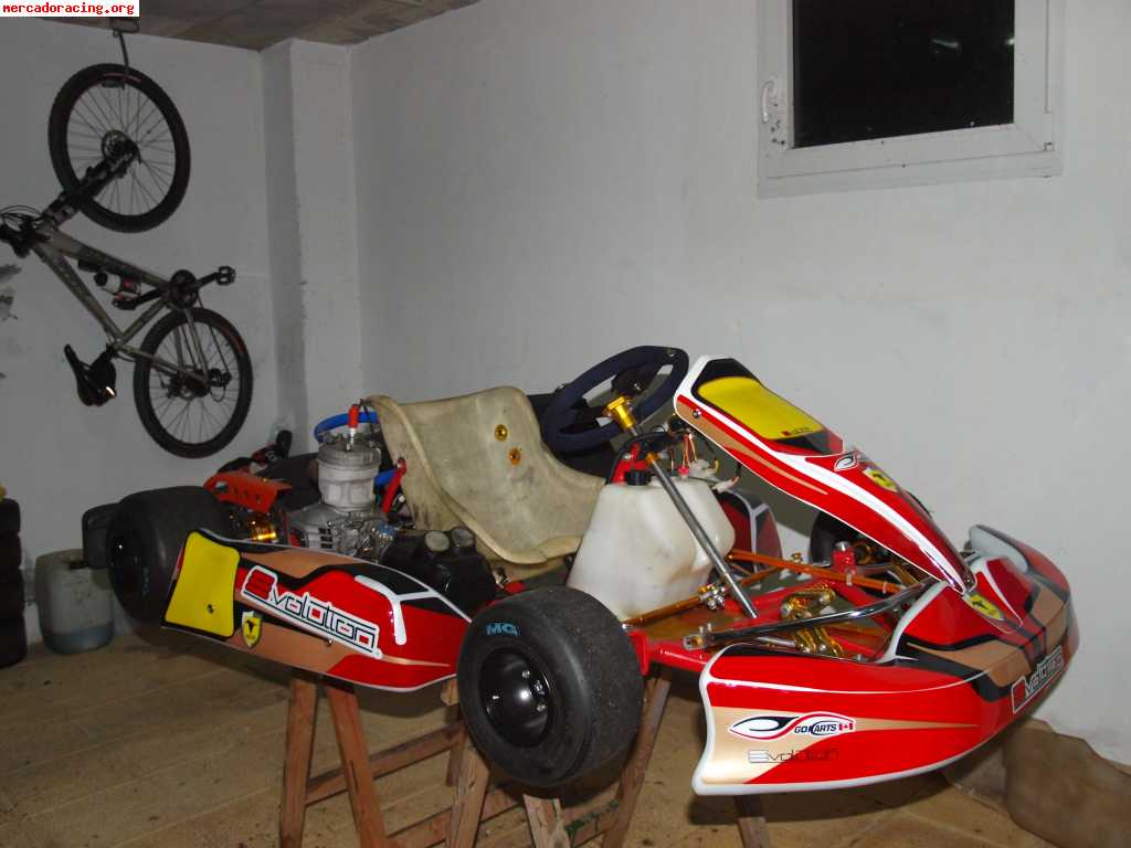 Vendo kart sq racing 125cc automatico