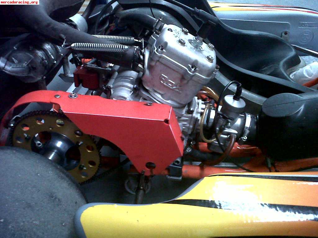 Se vende kart intrepid motor vortex rok