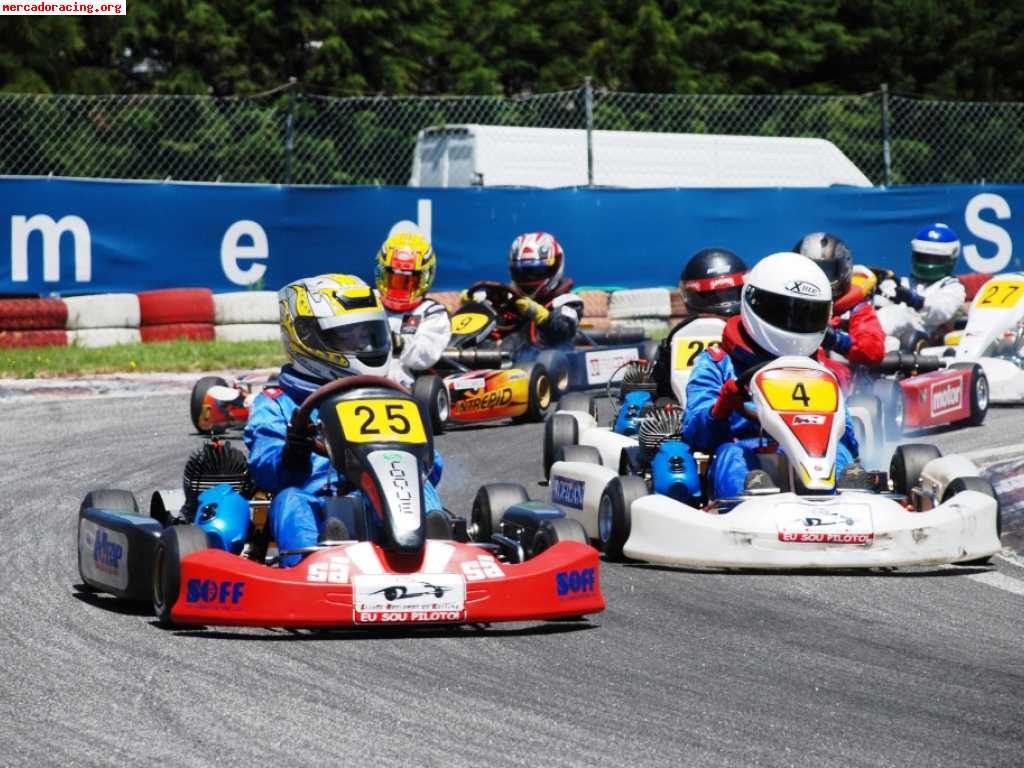 Se vende kart intrepid/iame puma 85