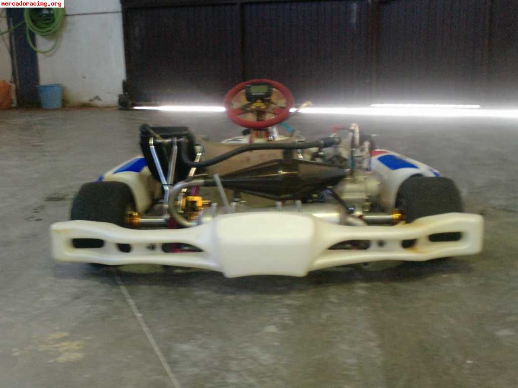 Karts 125 icc motor tm