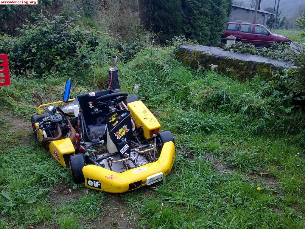 Vendo o canbio  kart con motor de moto 