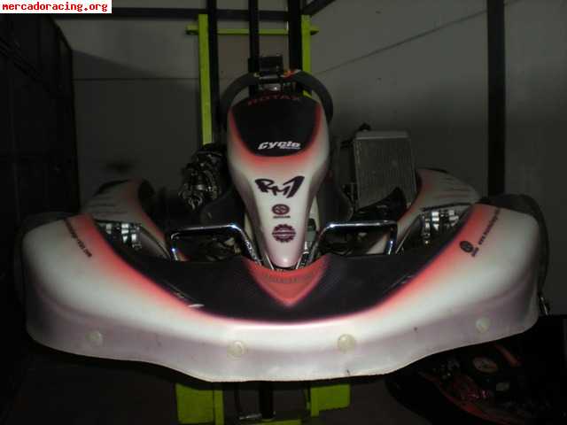 Vendo rotax rm1 dd2