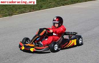 Karts en venta . profesional. 
