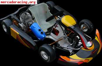 Karts en venta . profesional. 