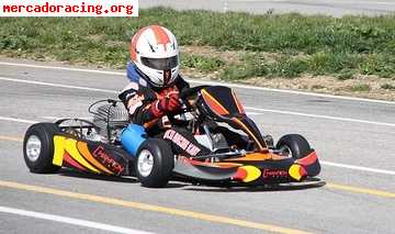 Karts en venta . profesional. 
