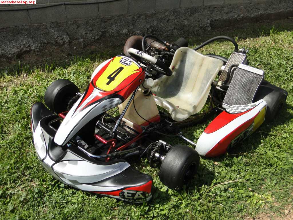 Kart ea racing 250cc