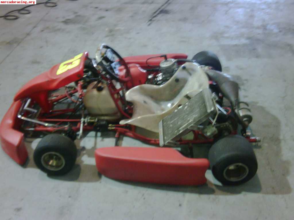 Kart kz2 chasis jesolo, motor tm-k9-c