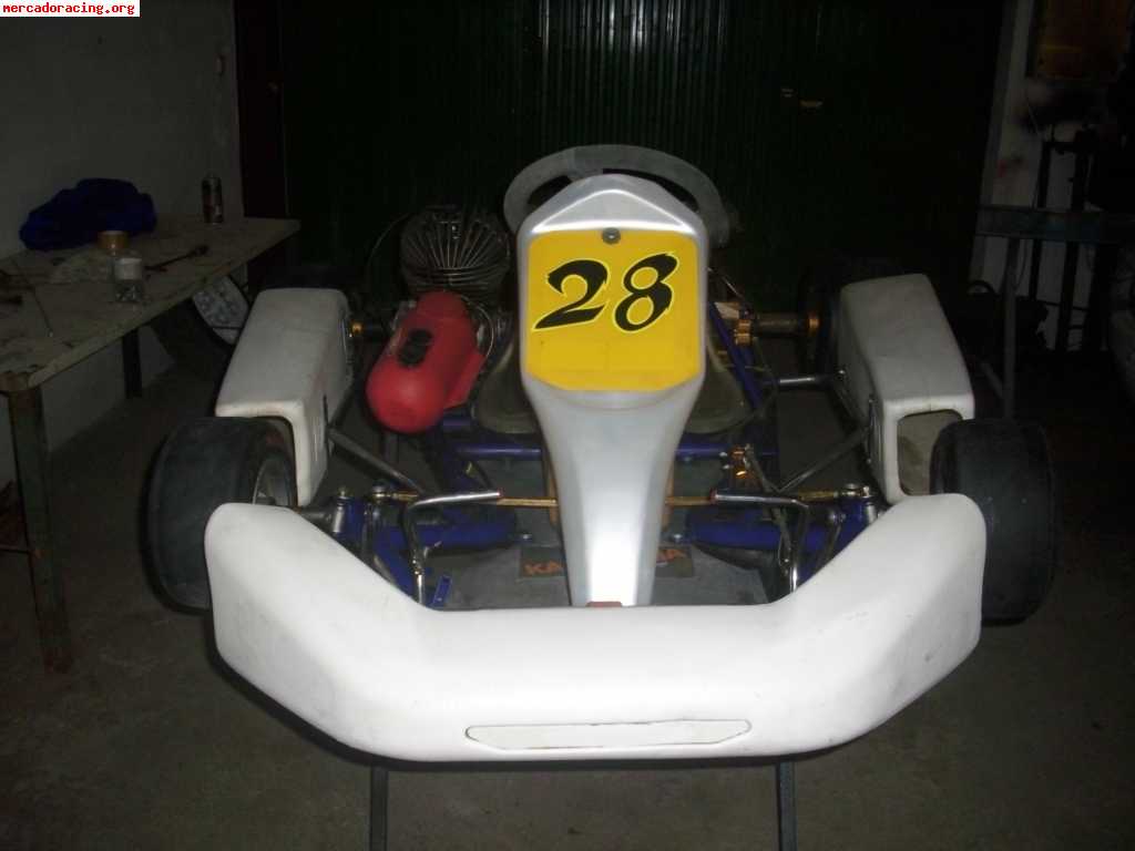 Vendo kart crg de 100cc 2t 