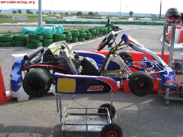 Vendo mskart rzf-29 con frenos delanteros rotax max extras