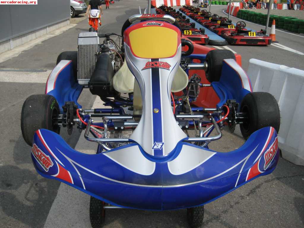 Vendo mskart rzf-29 con frenos delanteros rotax max extras