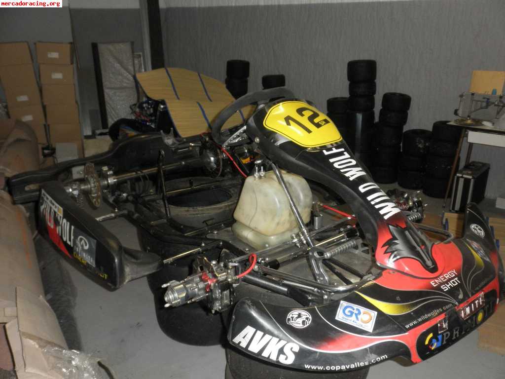 Se venden karts completos, ex-jorge clara campeón comunidad 