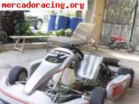 Kart skm (intrepid) honda 4 tiempos 