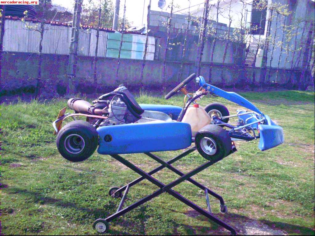 Kart sonik 125 c.c.