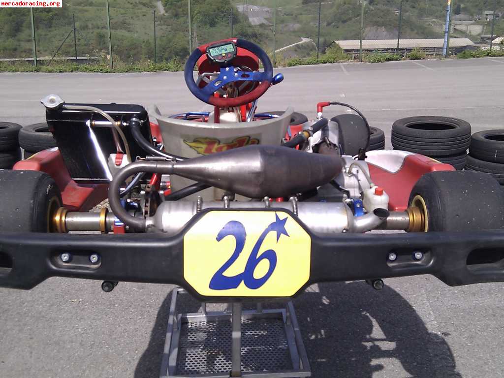 Birel r32 tm k9