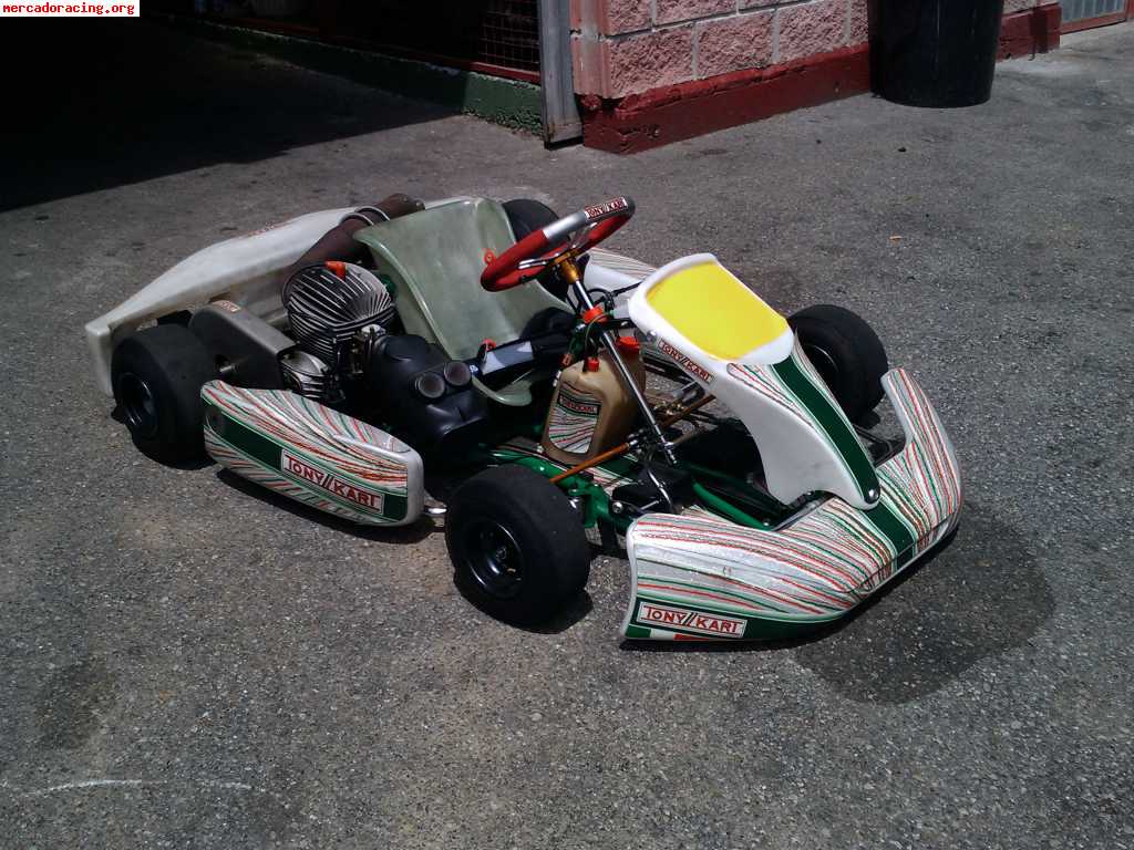 Tony kart alevin