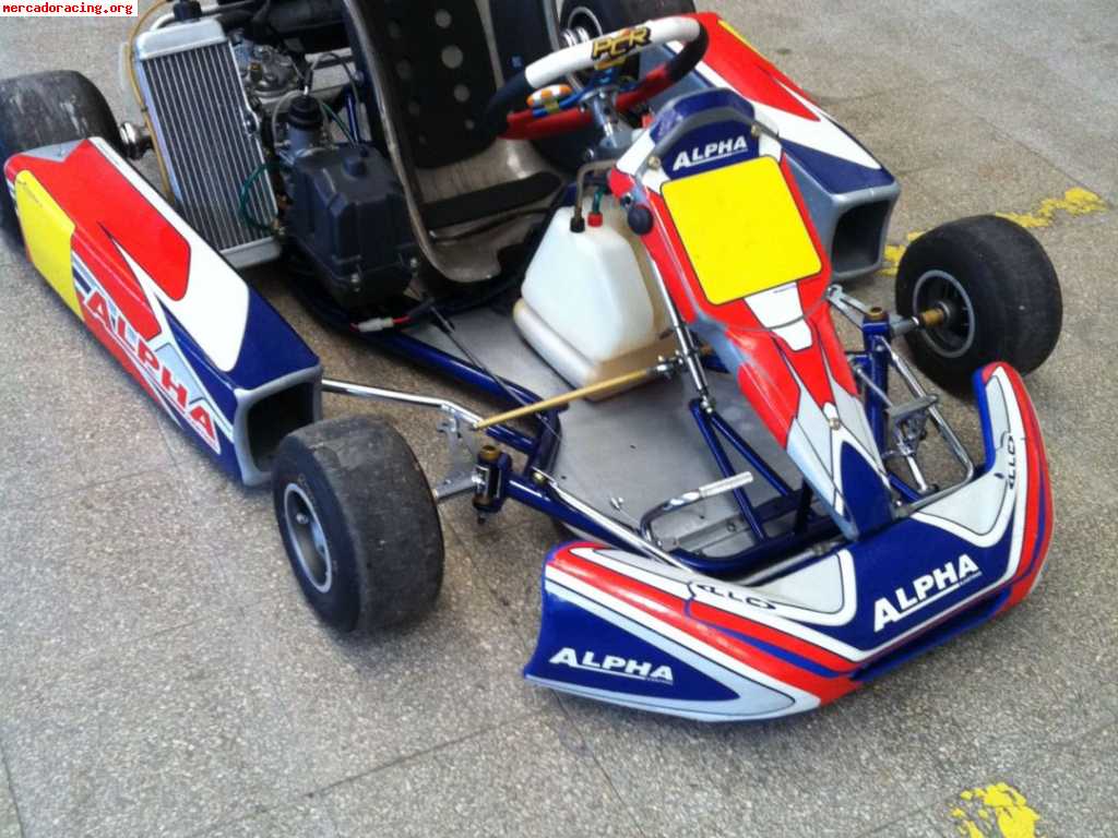 Kart alpha con rotax max