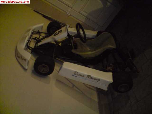 Se vende kart 100cc  2t competicion  muy economico