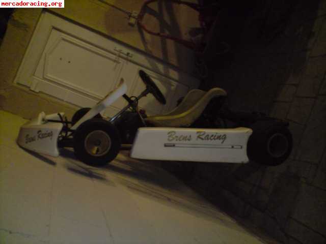 Se vende kart 100cc  2t competicion  muy economico