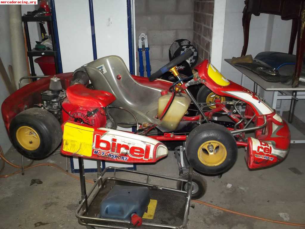 Birel alevin honda gx160