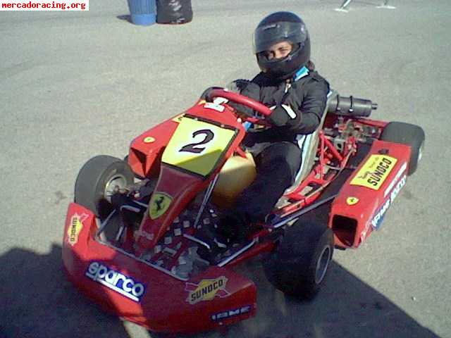 Vendo kart crg 100cc carburacion dellorto