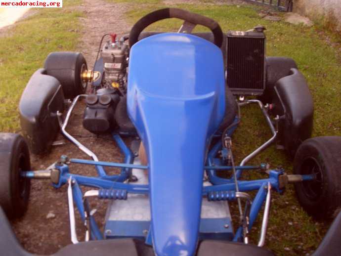 Se vende kart ex campeon de españa inter-a 100cc