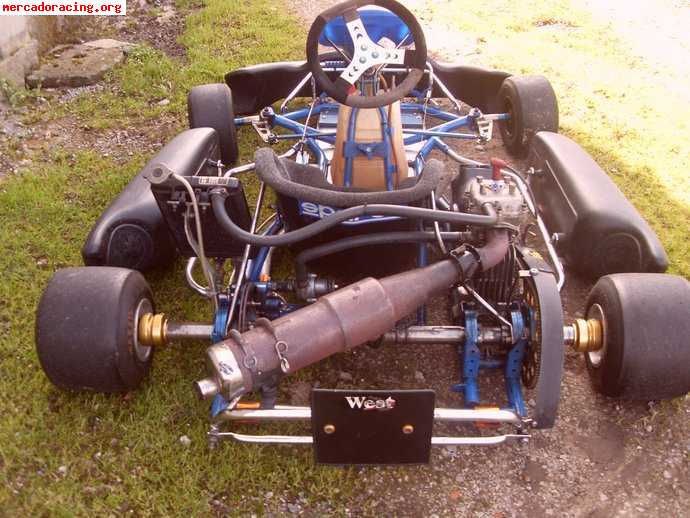 Se vende kart ex campeon de españa inter-a 100cc