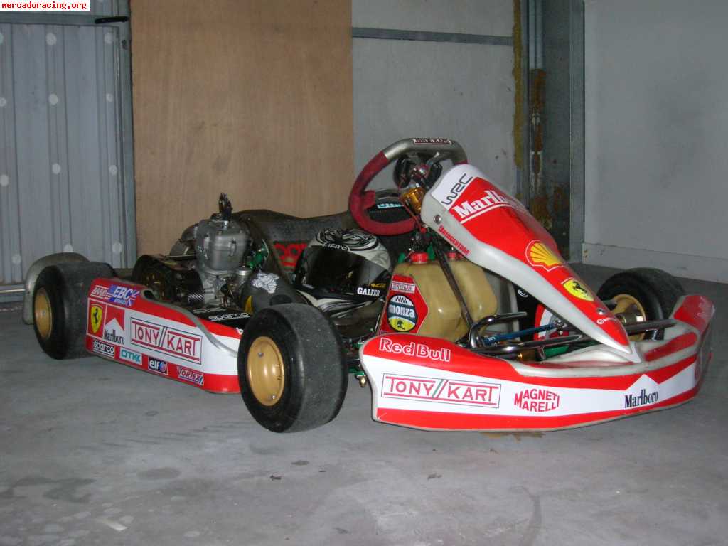 Vendo tony kart