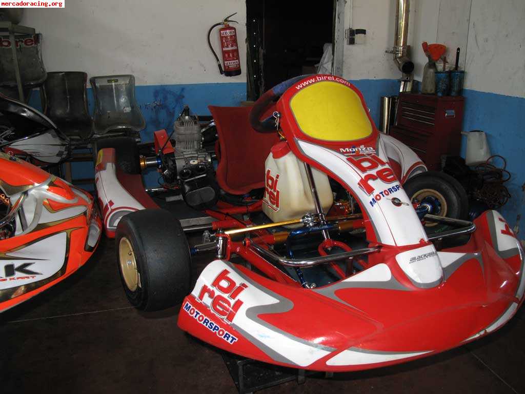 Birel x30