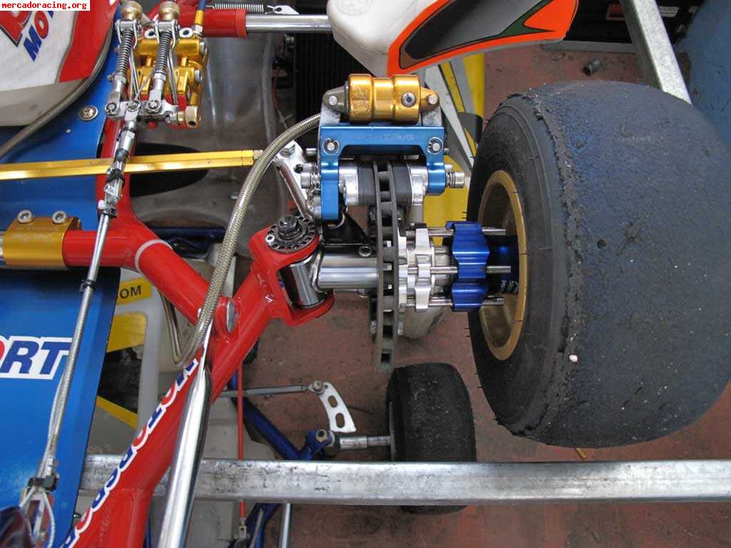 Birel kz2 2010