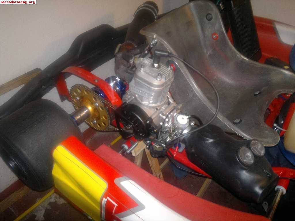 Birel 125 automatico impecable 1750 euros