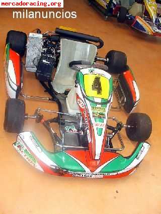 Intrepid rotax 2009 