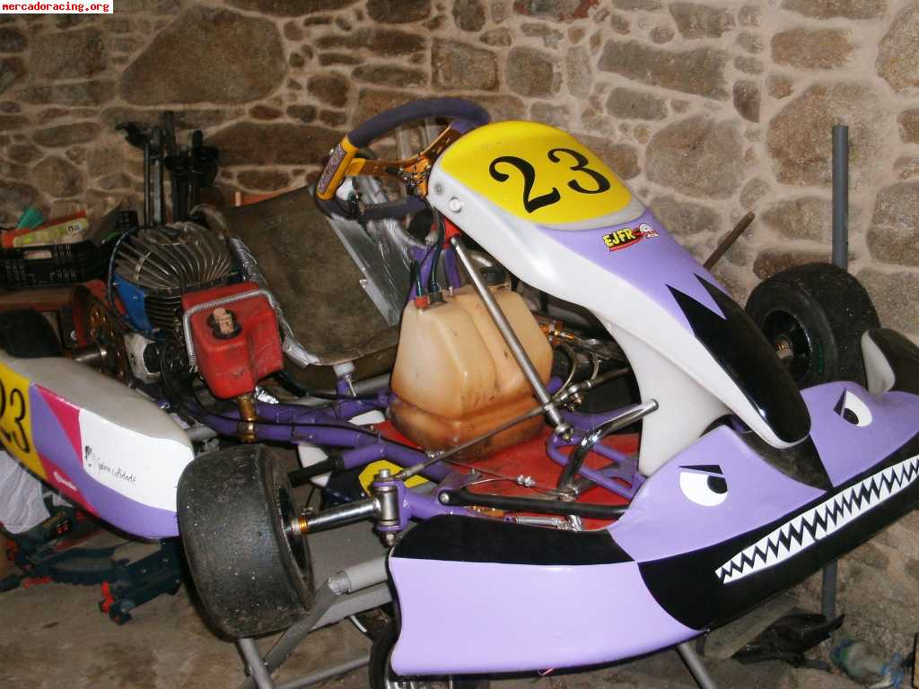 Seijo kart iame parilla 100cc con embrague por aire