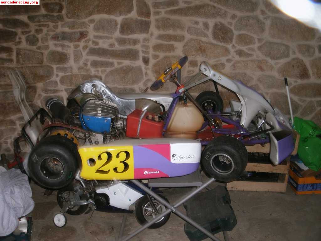 Seijo kart iame parilla 100cc con embrague por aire