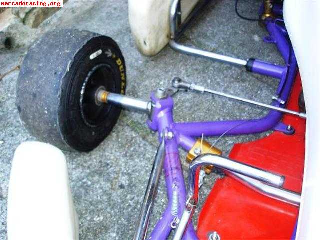 Seijo kart iame parilla 100cc con embrague por aire