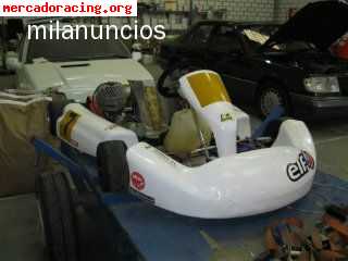 Kart pcr inert a