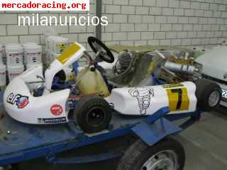 Kart pcr inert a