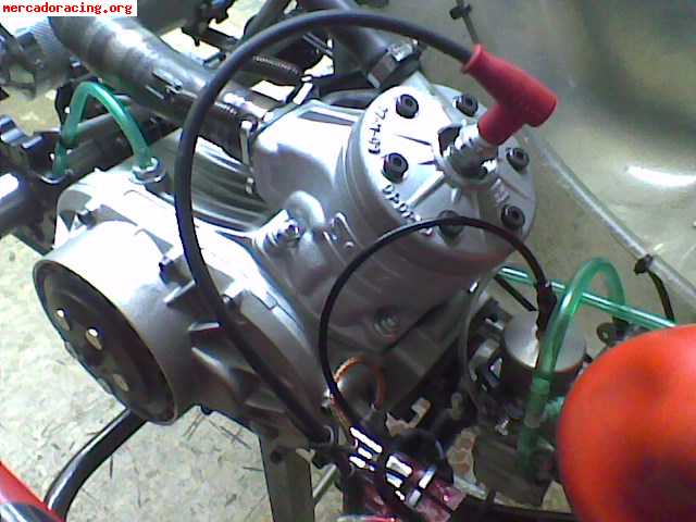 Kart kz2 crg   sgm 198