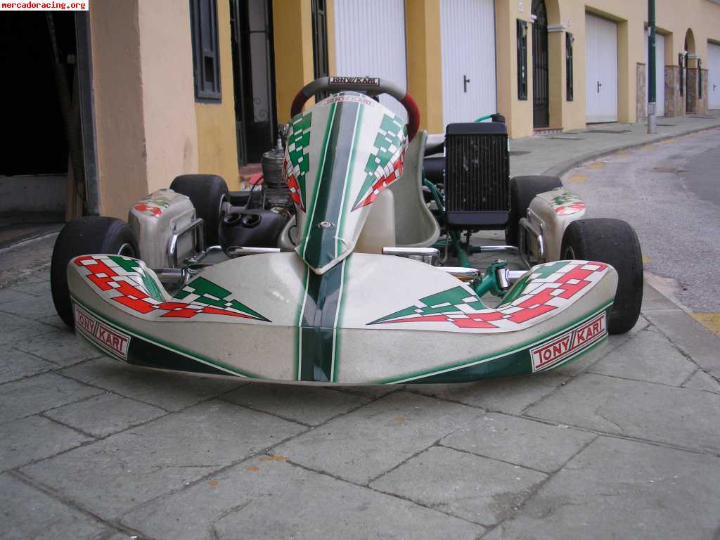 Tonykart modelo evr   xtr 125cc   alfano pro completo